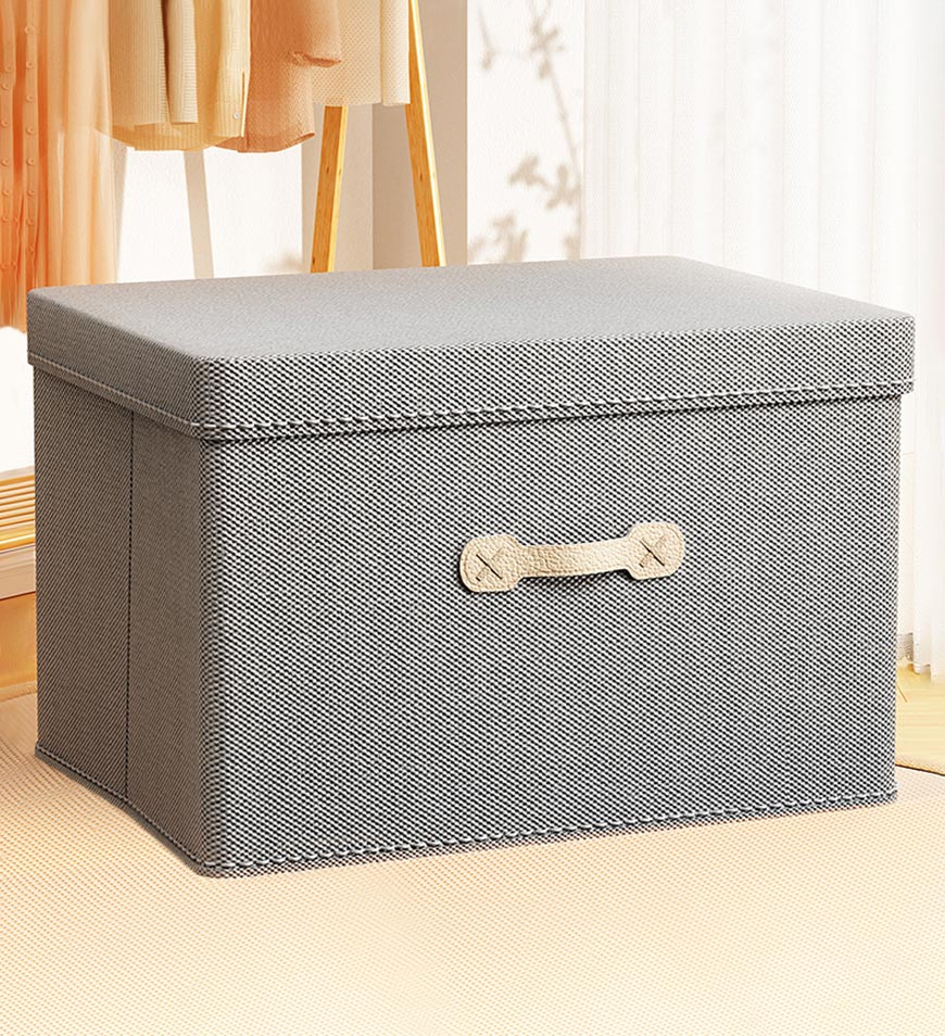 BlushBite® Foldable Storage Bins with Lids Gray 2 Pcs F230